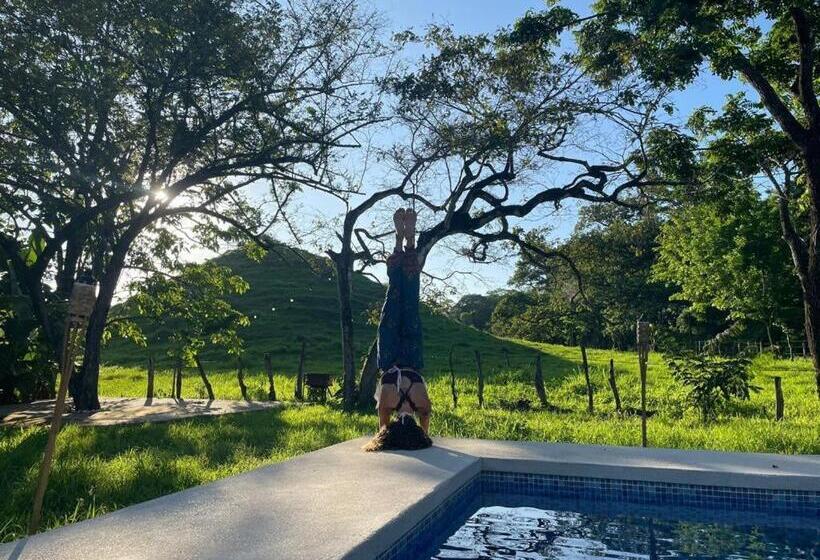 فندق Hostel Nicoa