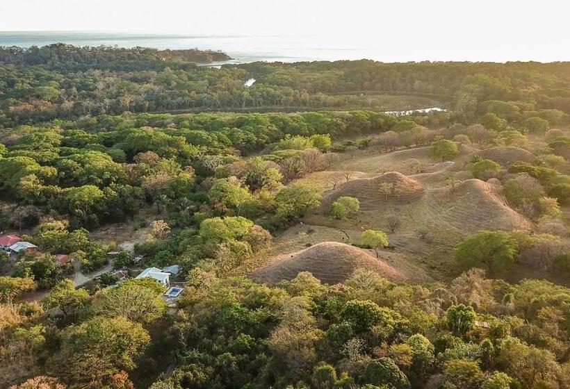 فندق Hostel Nicoa