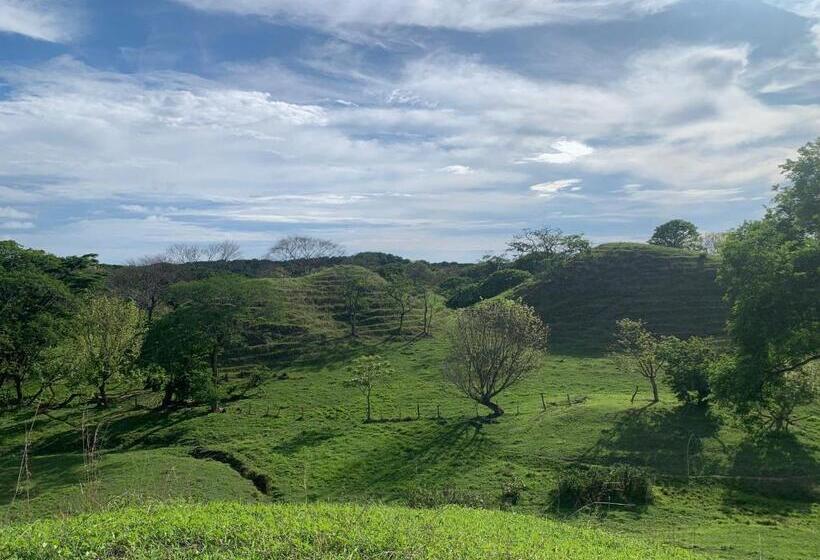 فندق Hostel Nicoa