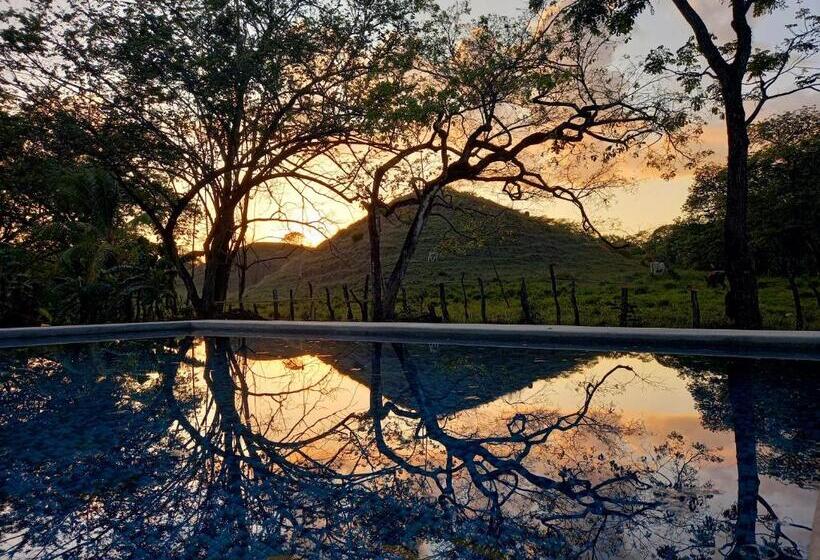 فندق Hostel Nicoa