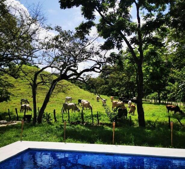 فندق Hostel Nicoa