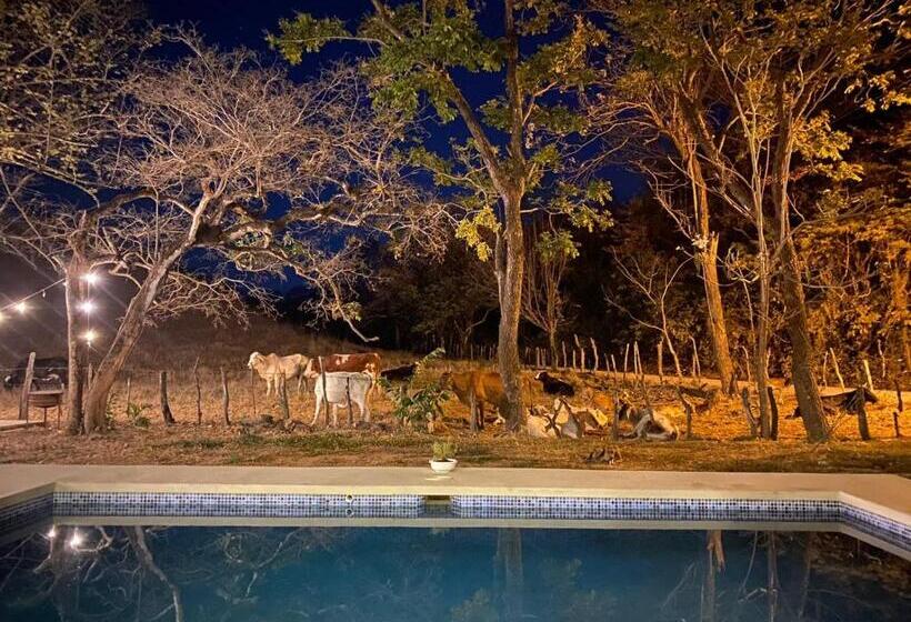 فندق Hostel Nicoa