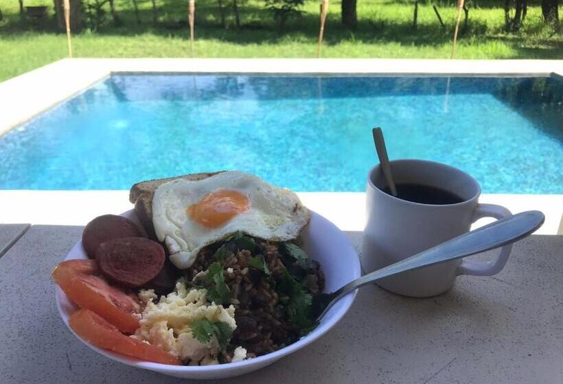 فندق Hostel Nicoa