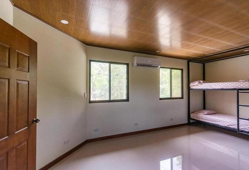 فندق Hostel Nicoa