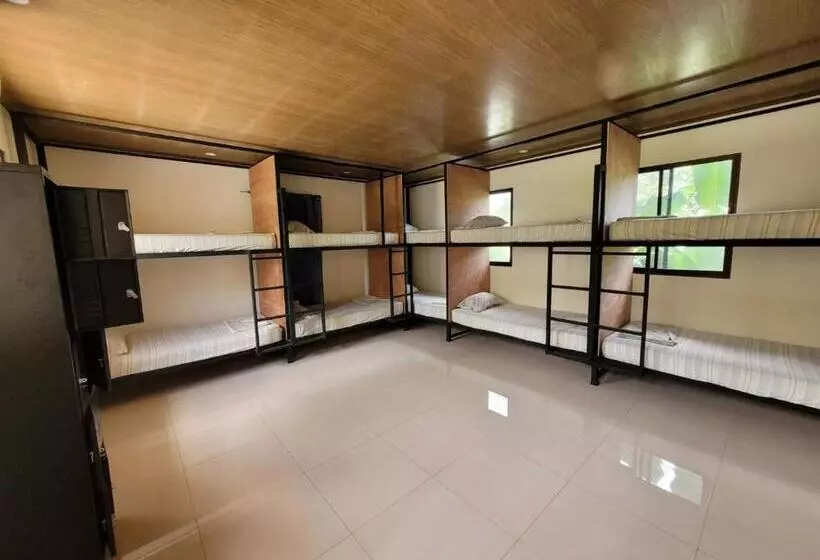 ホテル Hostel Nicoa