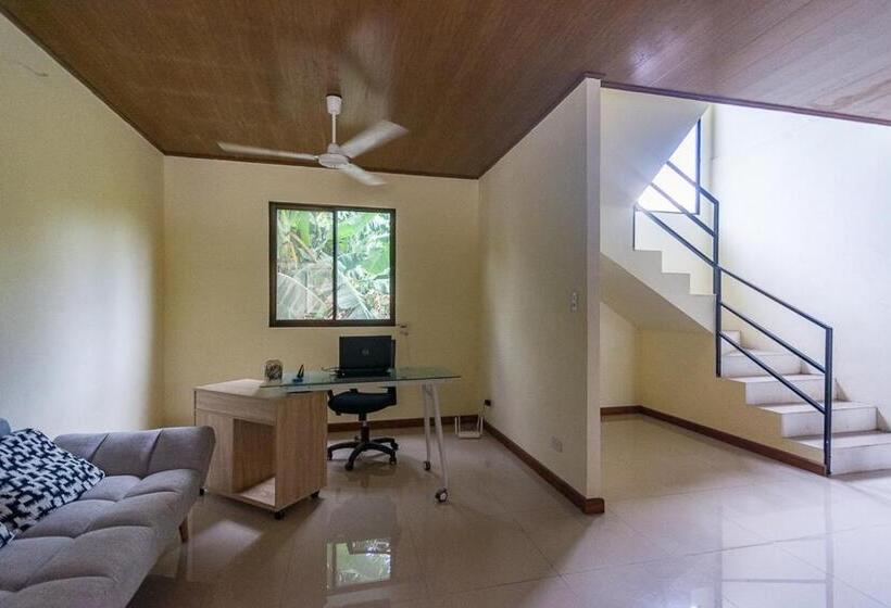 فندق Hostel Nicoa