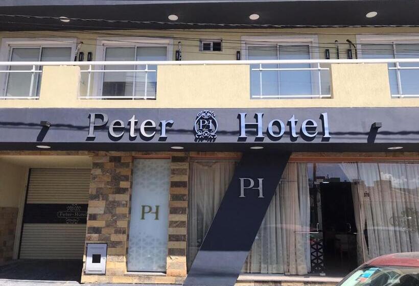 Отель Peter