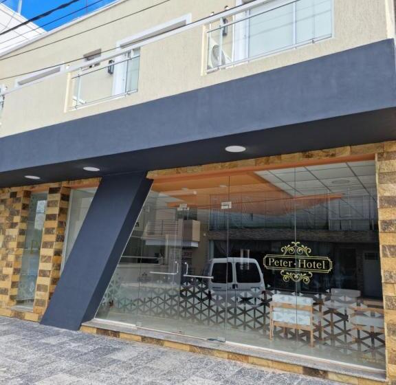 Отель Peter