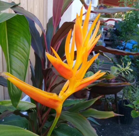 Пансион De Loft