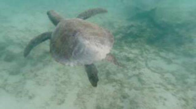 Пансион De Loft