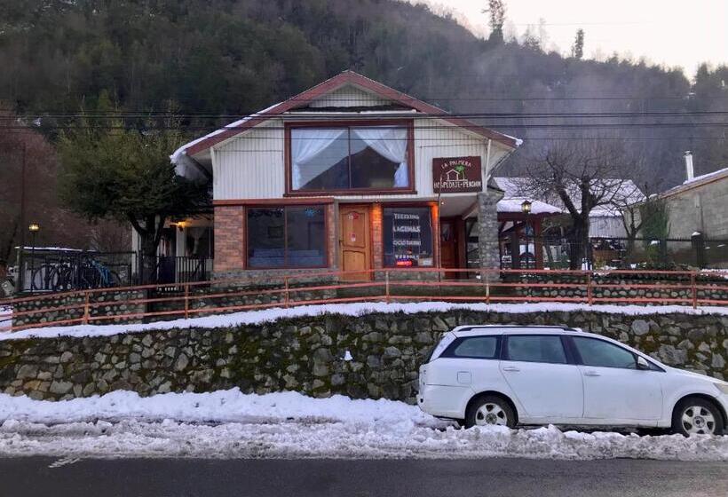 پانسیون Hospedaje La Palmera