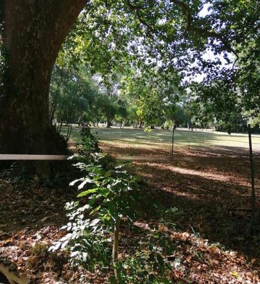 بنسيون Maison D Hôtes De La Rivière