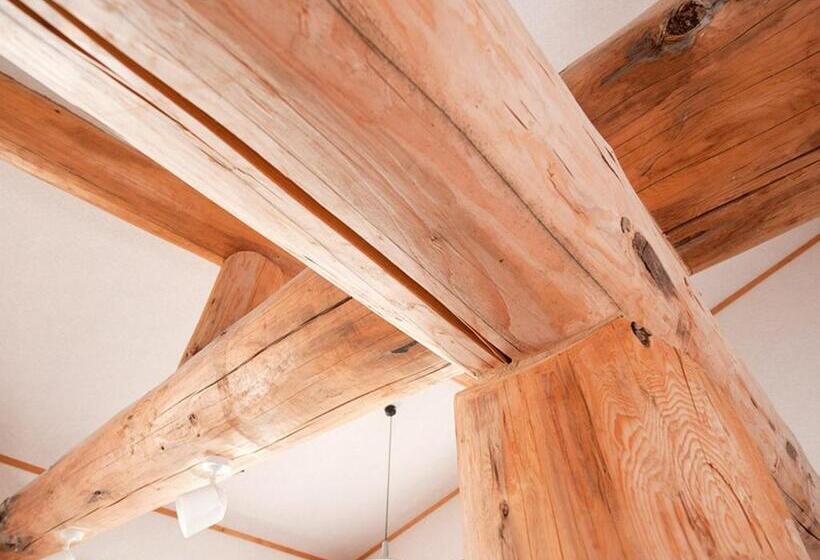 פנסיון ｓｉｌｖｅｒ ｂｉｒｃｈ   Vacation Stay 28698v