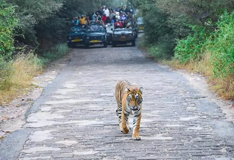 Lomakeskus Bagh Serai   Rustic Cottage With Private Pool