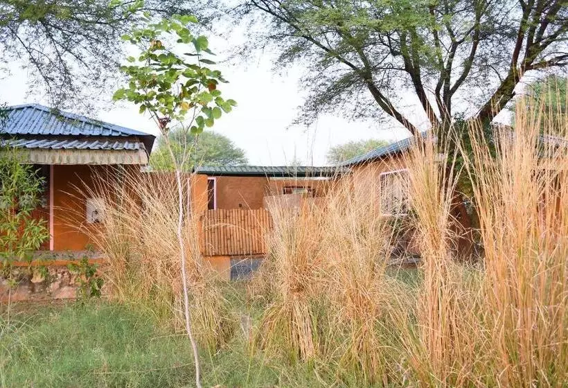 Lomakeskus Bagh Serai   Rustic Cottage With Private Pool