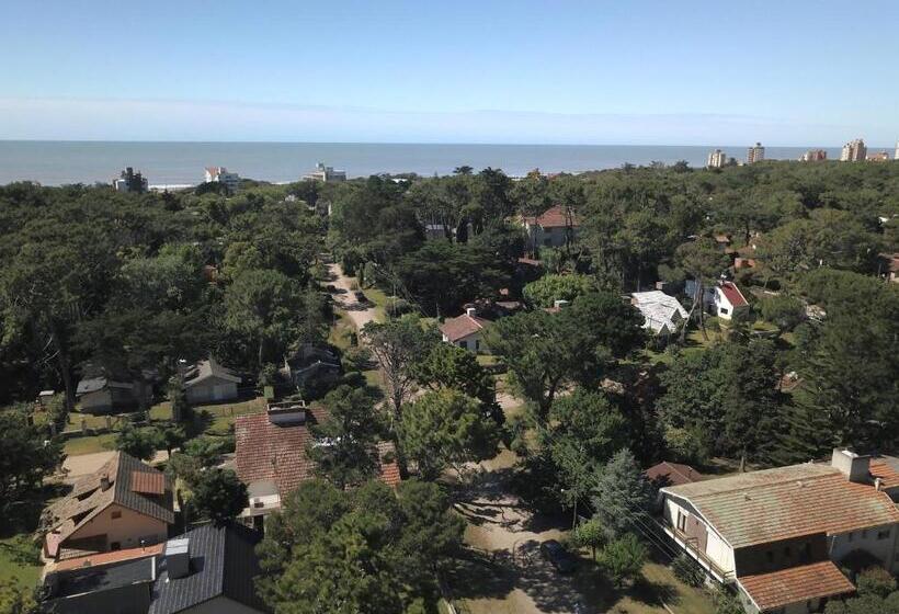 هاستل Alpina Hostería