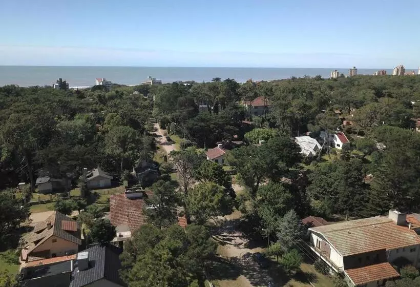 Retkeilymaja Alpina Hostería