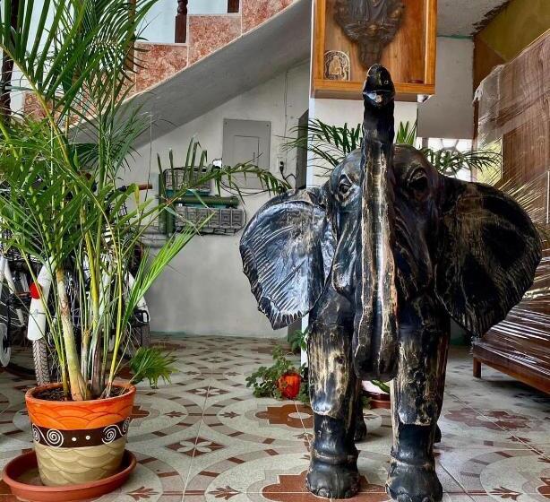 Общежитие Casa Gajah Hotel Cuyo