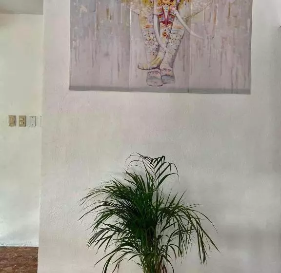 ユースホステル Casa Gajah Hotel Cuyo