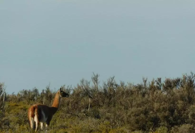 Retkeilymaja El Cristal