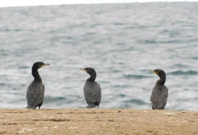 Retkeilymaja El Cristal