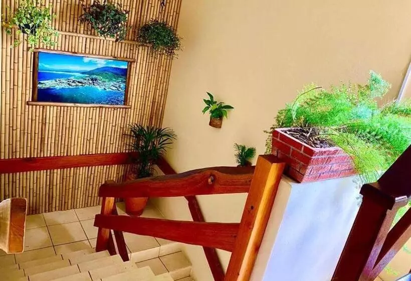 Retkeilymaja Pousada Ondas Do Embaú