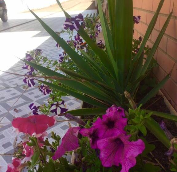 Alberg Pousada Porto Aventuras