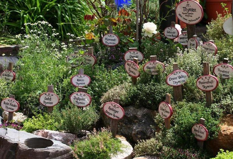 Hotel Der Bären In Zell