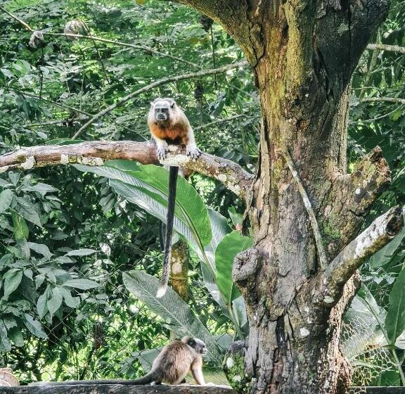 هتل Agualinda Doradal