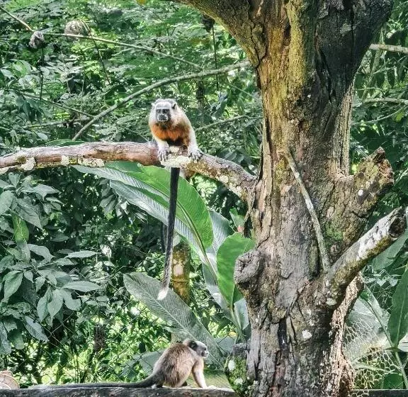 هتل Agualinda Doradal