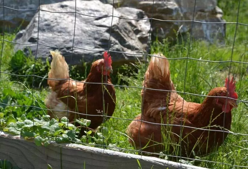 ペンション Gästehaus Waldblick