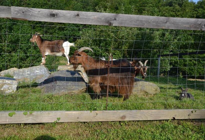 بنسيون Gästehaus Waldblick