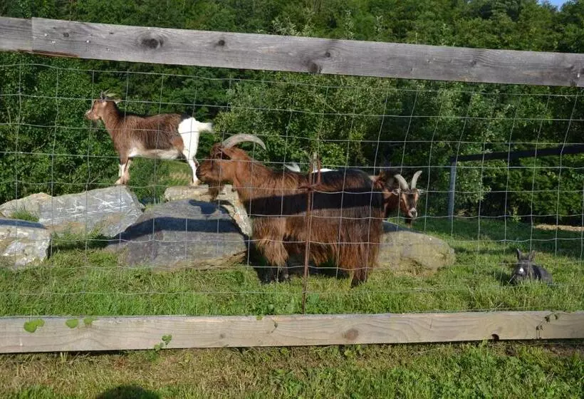 ペンション Gästehaus Waldblick