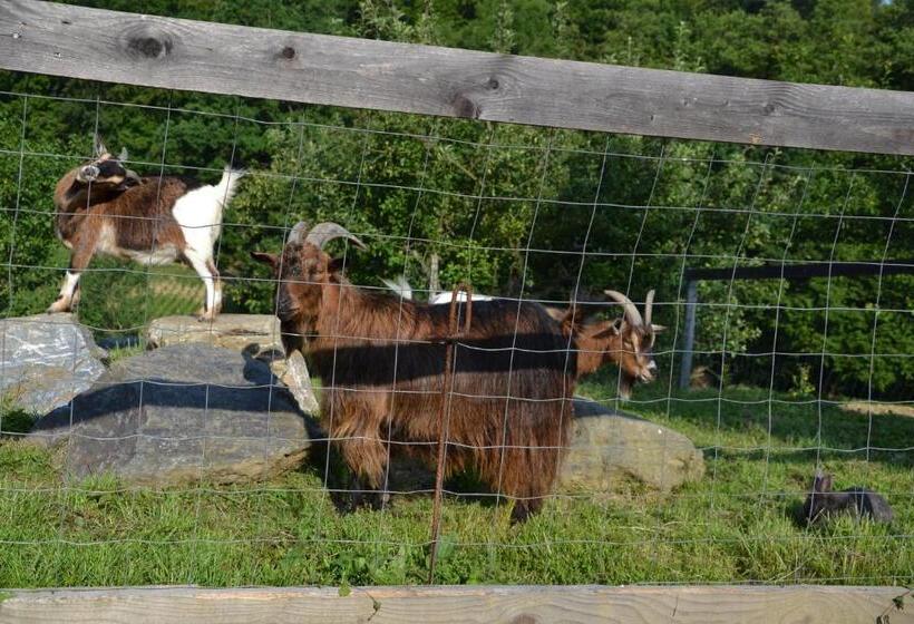بنسيون Gästehaus Waldblick