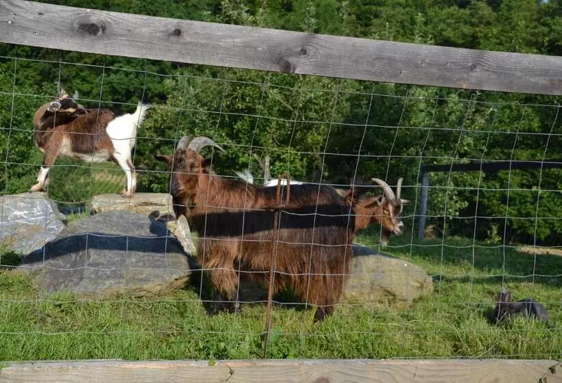 ペンション Gästehaus Waldblick