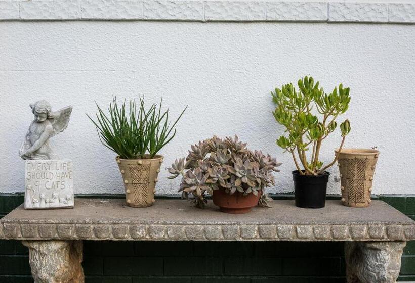 Пансион Silver Linings Guesthouse