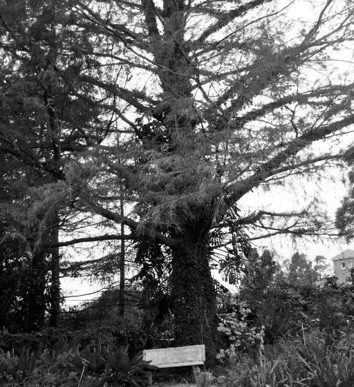 Majatalo The Rawstornes