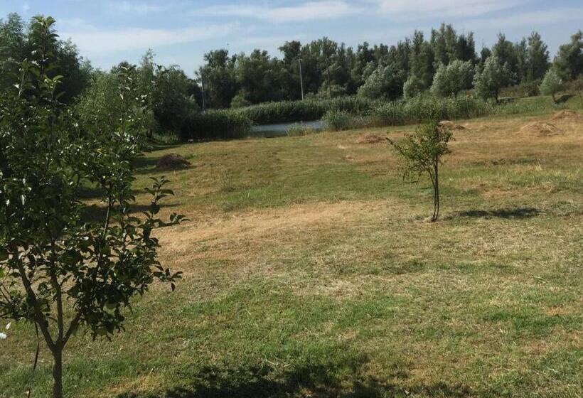 Пансион Vulturul Pescar