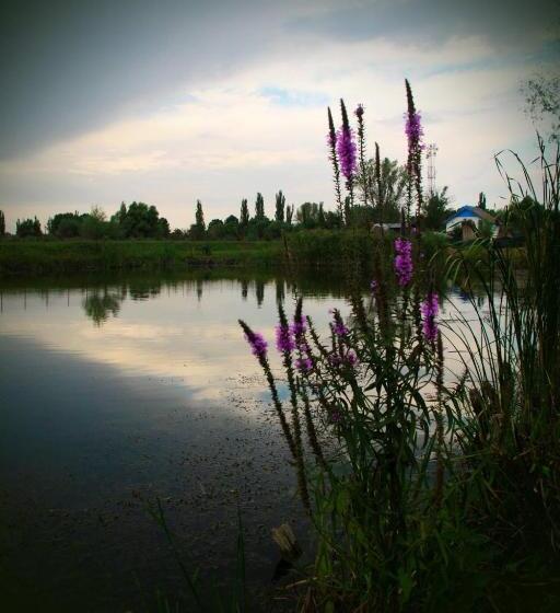 Пансион Vulturul Pescar