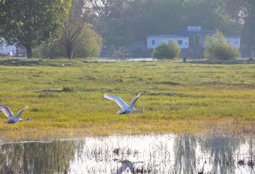 Пансион Vulturul Pescar