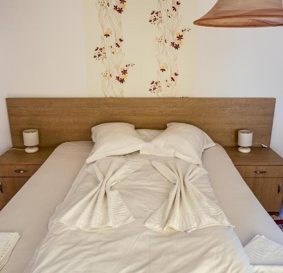 Пансион Vulturul Pescar