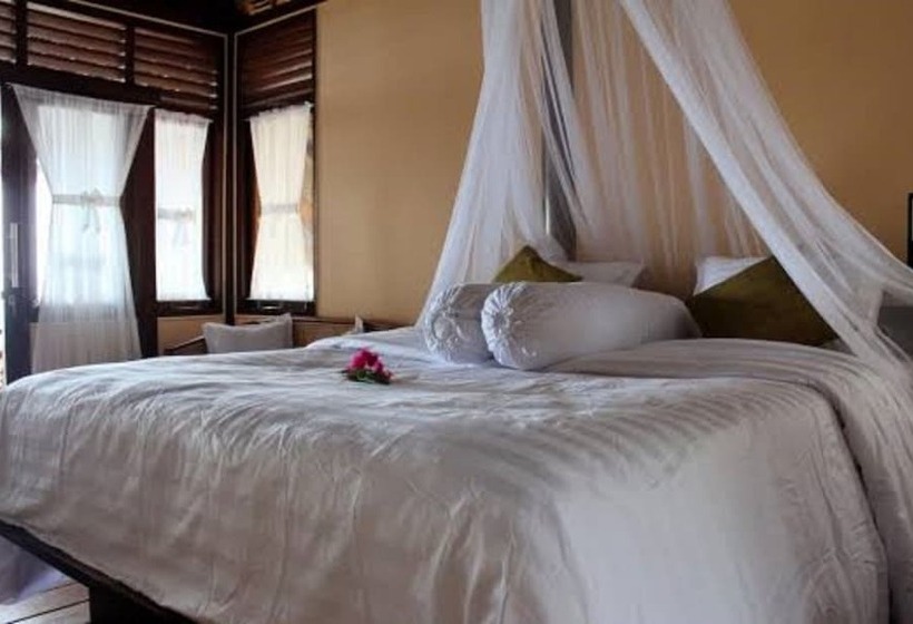 Ary S Lagoon By Cocotel