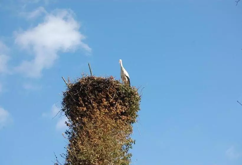 Aamiaismajoitus (B&B) De Willigen Logies