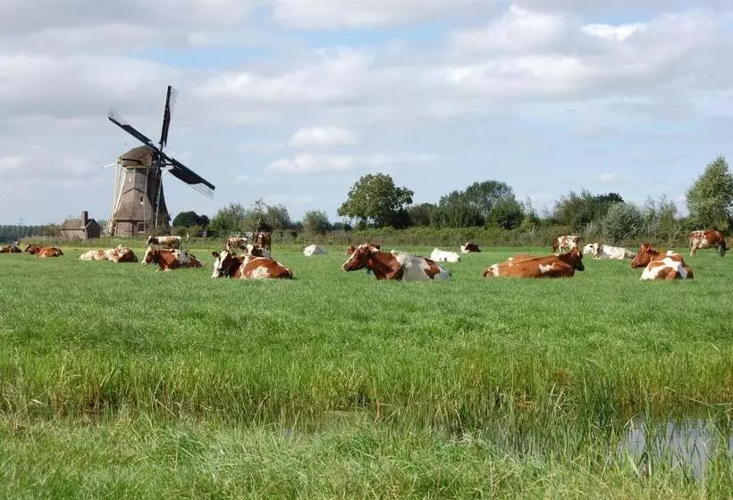 Aamiaismajoitus (B&B) De Willigen Logies