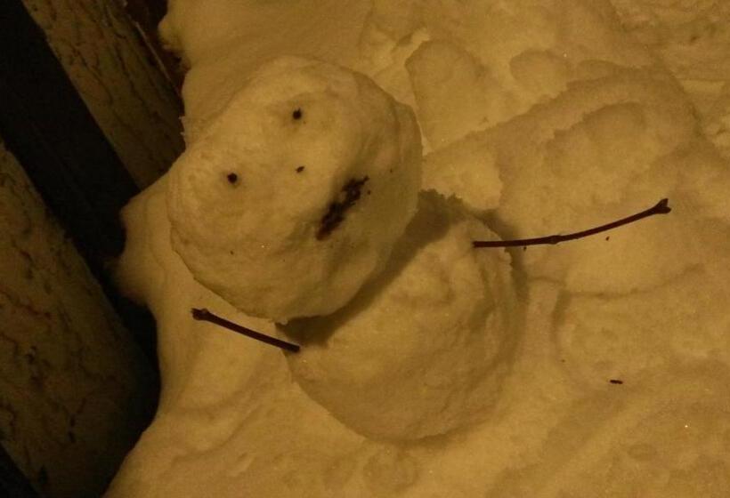 مبيت وإفطار Gallery & Lodge Noichigo