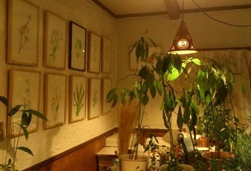 مبيت وإفطار Gallery & Lodge Noichigo