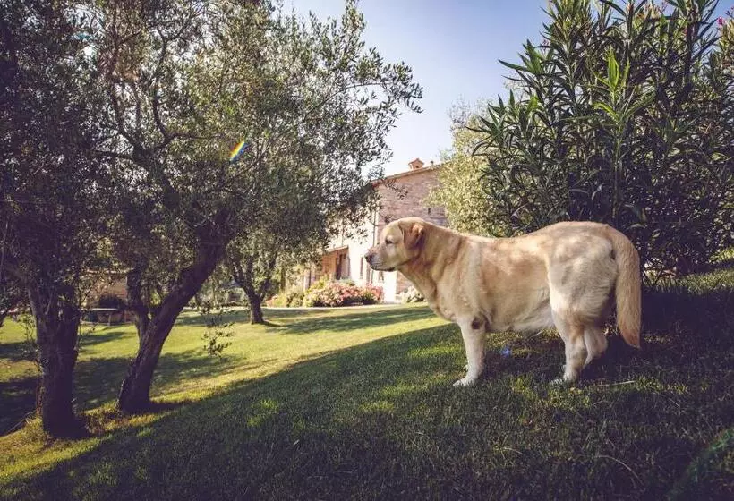 ホテル Agriturismo Casal San Sergio