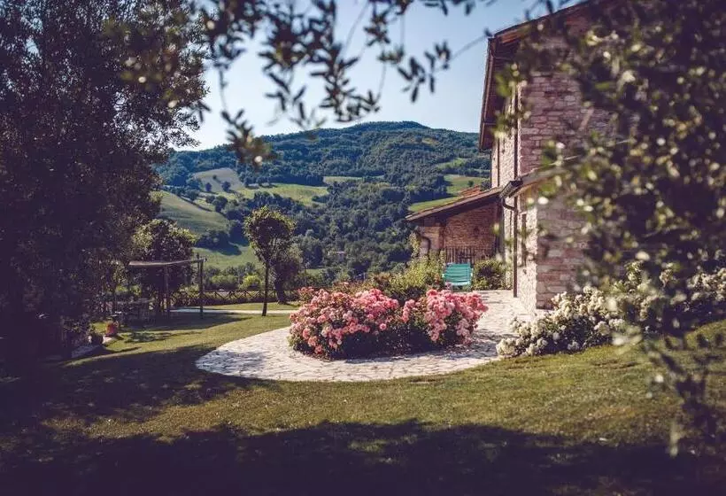 ホテル Agriturismo Casal San Sergio