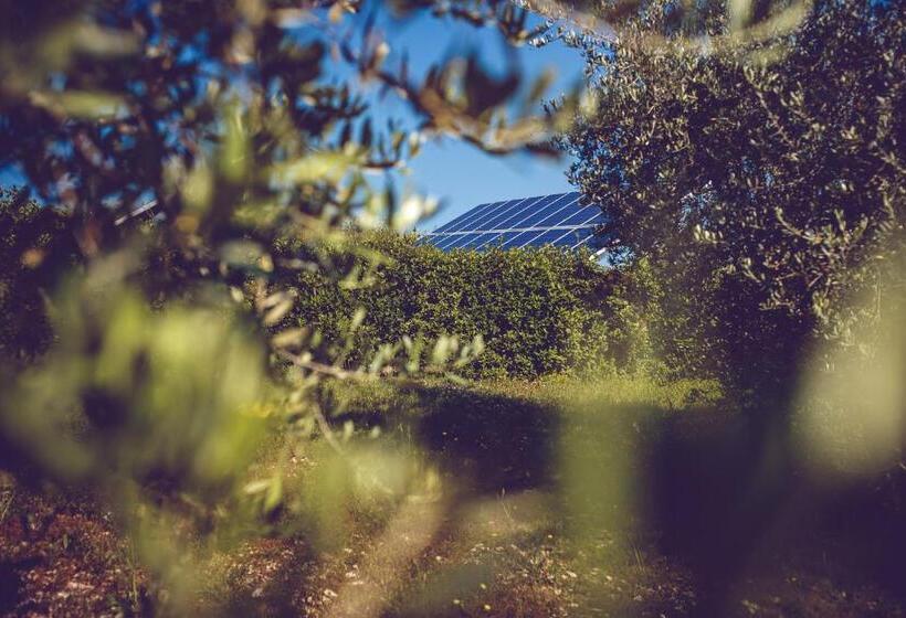 ホテル Agriturismo Casal San Sergio