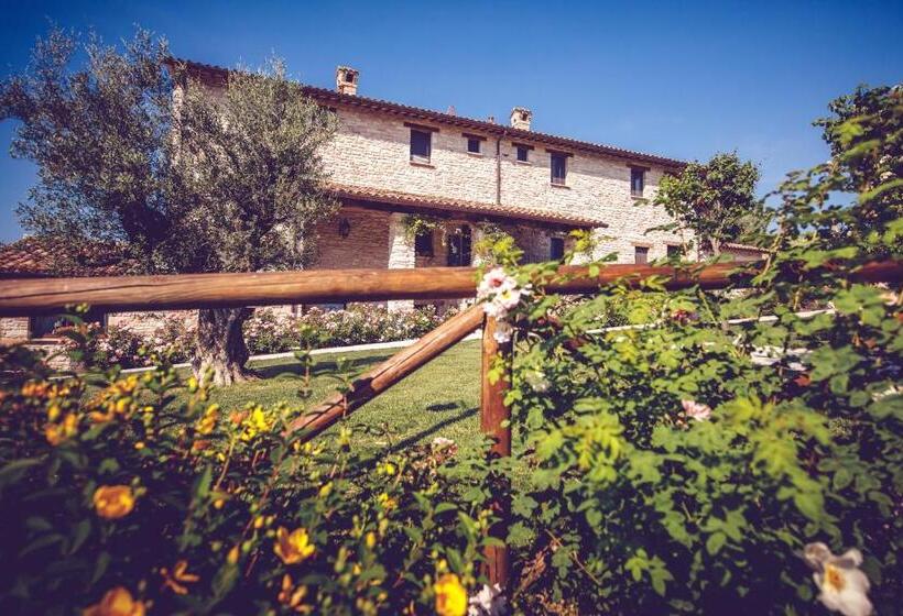 ホテル Agriturismo Casal San Sergio